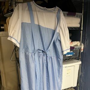 Dorothy, The wizard of Oz costume